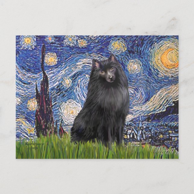 Cartão Postal Schipperke 2 - Noite Estrelada (Frente)