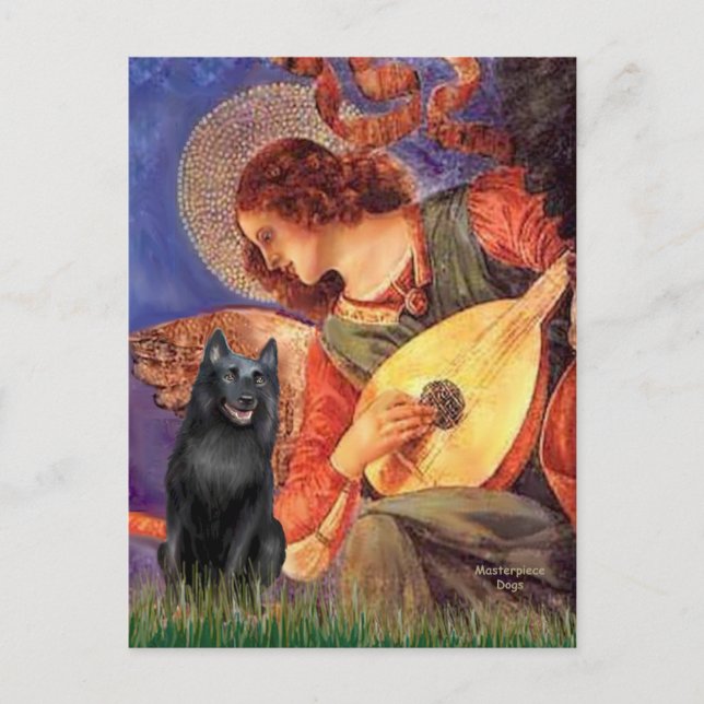 Cartão Postal Schipperke 5 - Anjo Bandolim (Frente)