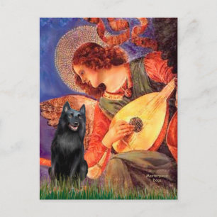Cartão Postal Schipperke 5 - Mandolin Angel