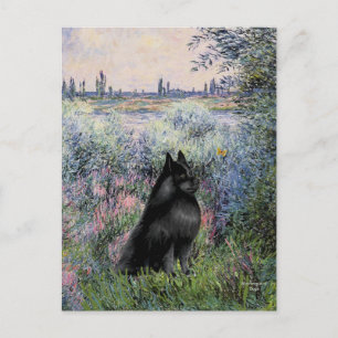 Cartão Postal Schipperke 6 - À Beira do Sena