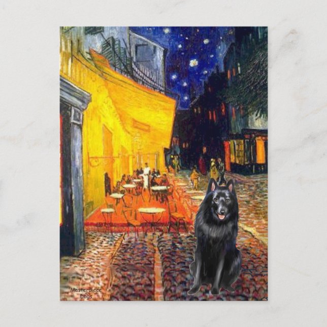 Cartão Postal Schipperke 7 - Café do Terraço (Frente)