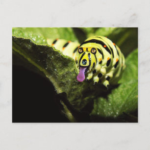 Cartão Postal Schlobber