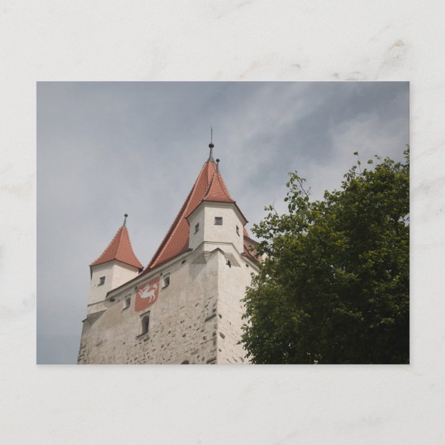 CARTÃO POSTAL SCHLOSSTURM VON BURG HAAG IN OBERAYERN MIT BAUM (Frente)