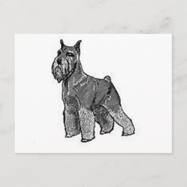 Cartão Postal Schnauzer (Frente)