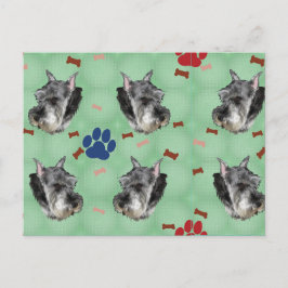 Cartão Postal Schnauzer Portrait