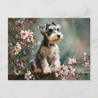 Cartão Postal Schnauzer Puppy Among Spring Cherry Blossoms