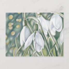 Cartão Postal Schneeglöckchen - Farbstiftzeichnung