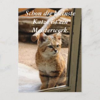 Cartão Postal Schon die kleinste Katze ist ei...