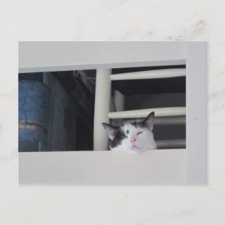 Cartão Postal Schöne Aussicht