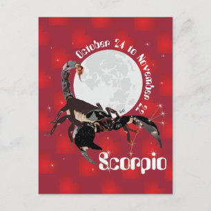 Cartão Postal Scorpio October 24 to novembros de 22 Postcard