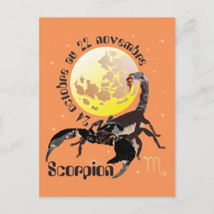 Cartão Postal Scorpion 24 octobre au 22 novembre Cartes postales
