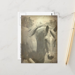 Cartão Postal Scotch Faux Vintage