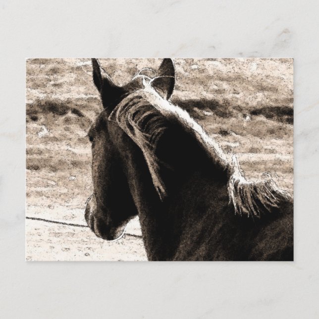 Cartão Postal Scotch in Brown Tones (Frente)