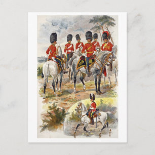 Cartão Postal Scots Grays