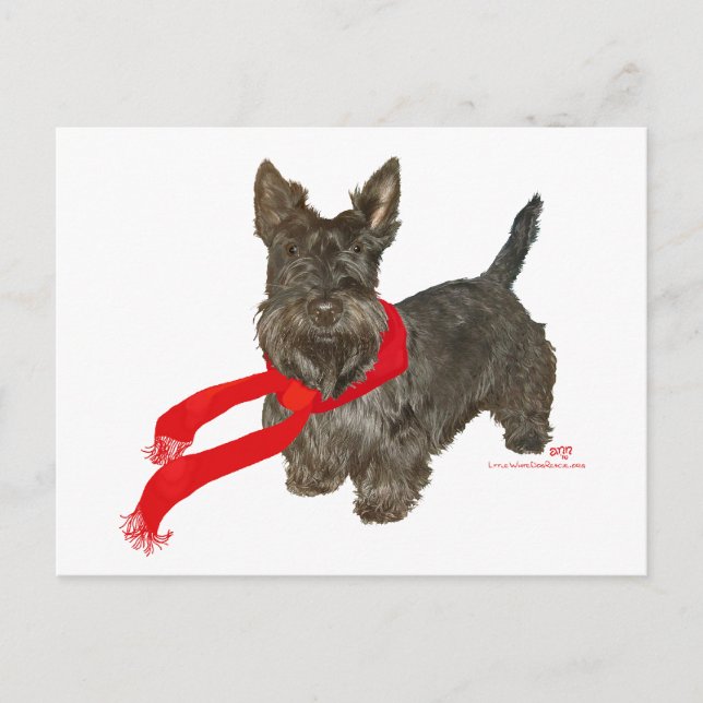 Cartão Postal Scottie de Inverno com Cachecol Wam (Frente)