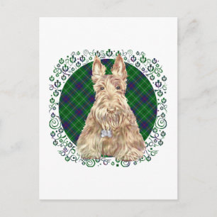 Cartão Postal Scottie Duncan Tartan