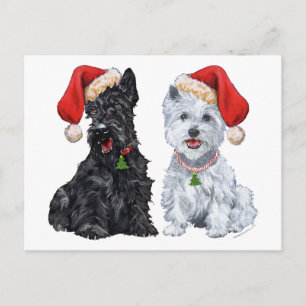 Cartão Postal Scottie e Westie Caroling