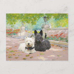 Cartão Postal Scottie e Westie em um Jardim