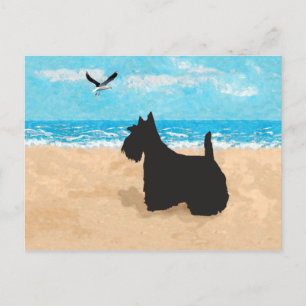 Cartão Postal Scottie na Praia com Gaivota