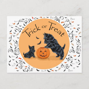 Cartão Postal SCOTTIE Papai e Filhote no Halloween