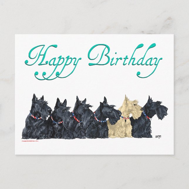 Cartão Postal Scotties All in a Row (Frente)