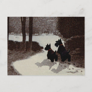 Cartão Postal Scotties em uma Noite de Inverno Surreal