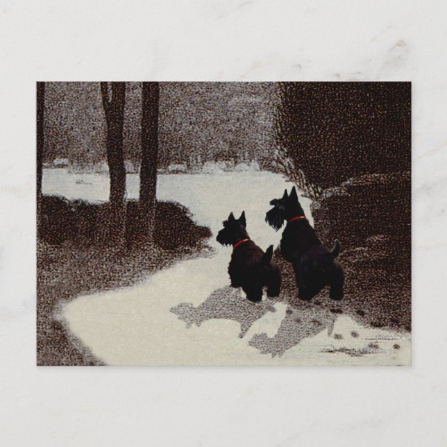 Cartão Postal Scotties em uma Noite de Inverno Surreal (Frente)