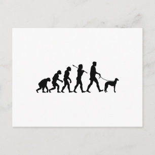 Cartão Postal Scottish Deerhound