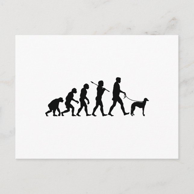 Cartão Postal Scottish Deerhound (Frente)