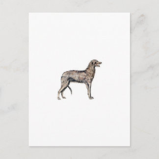 Cartão Postal Scottish Deerhound
