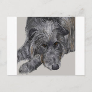Cartão Postal Scottish Deerhound