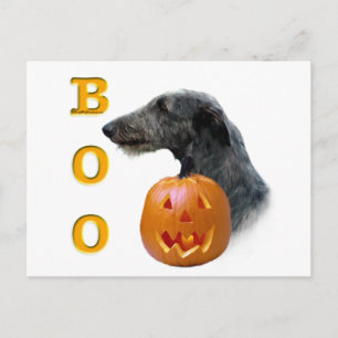 Cartão Postal Scottish Deerhound Boo