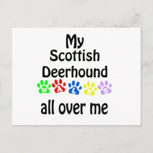 Cartão Postal Scottish Deerhound Walks Design