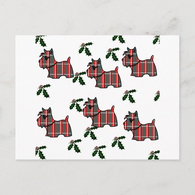 CARTÃO POSTAL SCOTTISH TERRIER (Frente)