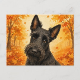 Cartão Postal Scottish Terrier Autumn Dog