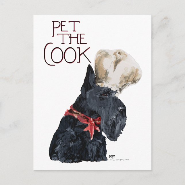 Cartão Postal Scottish Terrier Chef (Frente)