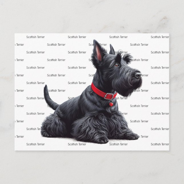 Cartão Postal Scottish Terrier in (Frente)
