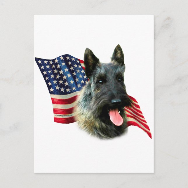 Cartão Postal Scottish Terrier (indle) Flag (Frente)