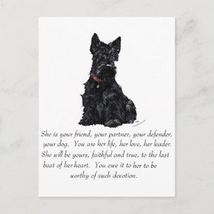 Cartão Postal Scottish Terrier Keepsasasakr - FEMALE