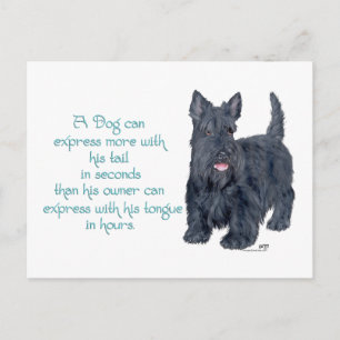 Cartão Postal Scottish Terrier Sabedoria e Perspicácia - Falando