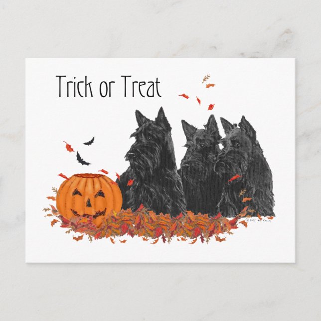 Cartão Postal Scottish Terriers Halloween (Frente)
