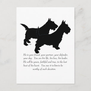 Cartão Postal Scottish Terriers Lembrança - Cães MACHOS