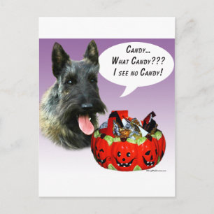 Cartão Postal ScottishTerrier Halloween Candy
