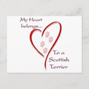 Cartão Postal ScottishTerrier Heart pertence