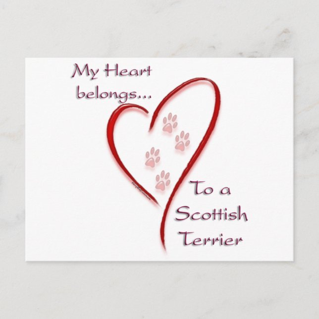 Cartão Postal ScottishTerrier Heart pertence (Frente)