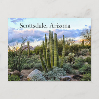 Cartão Postal Scottsdale Succulent Sunset