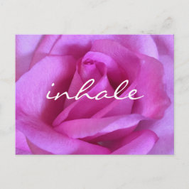 Cartão Postal Script de Inalação de Foto Rosa Rosa Rosa Rosa Púr
