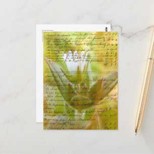 Cartão Postal Script Flor e Vintage