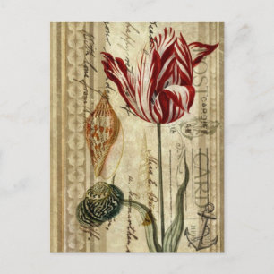 Cartão Postal scripts do país francês primavera botânico tulip