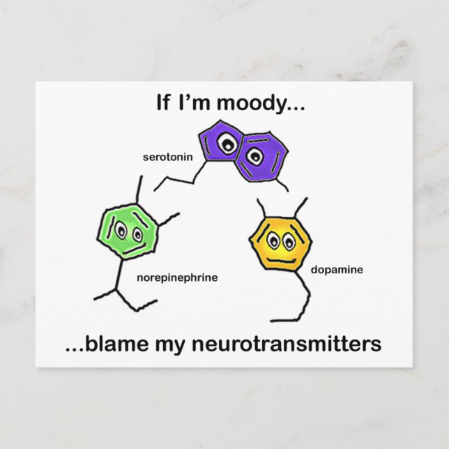 Cartão Postal Se eu for Moody... (Frente)